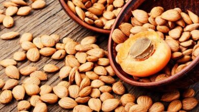 Photo of The Power of Apricot Seeds: A Natural Supplement