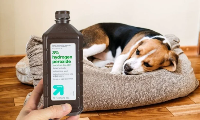 is hydrogen peroxide safe for dogs