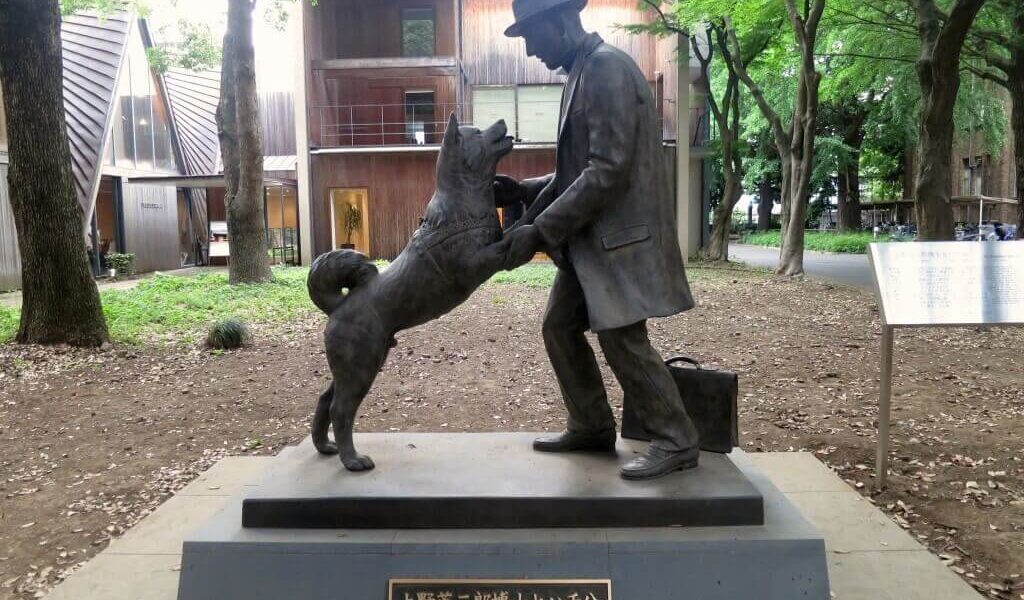 Hachiko Sakuma