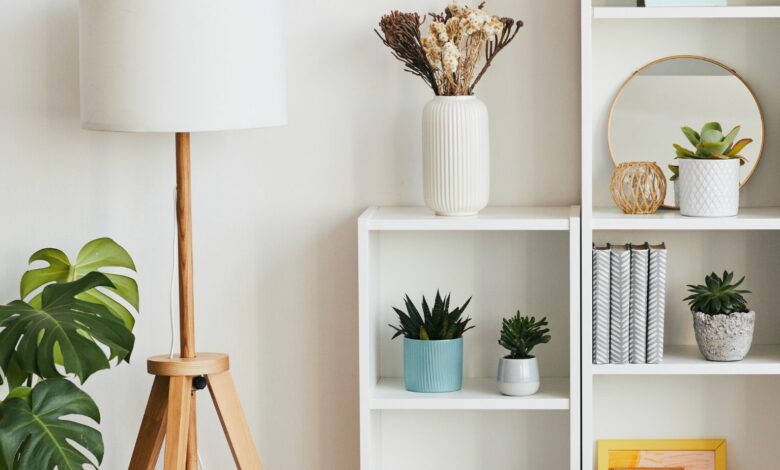 decoratoradvice com